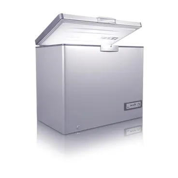 Passap Chest Deep Freezer Defrost 283 Liters Silver - ES341L