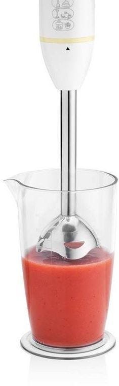 Modex Hand Blender HB790