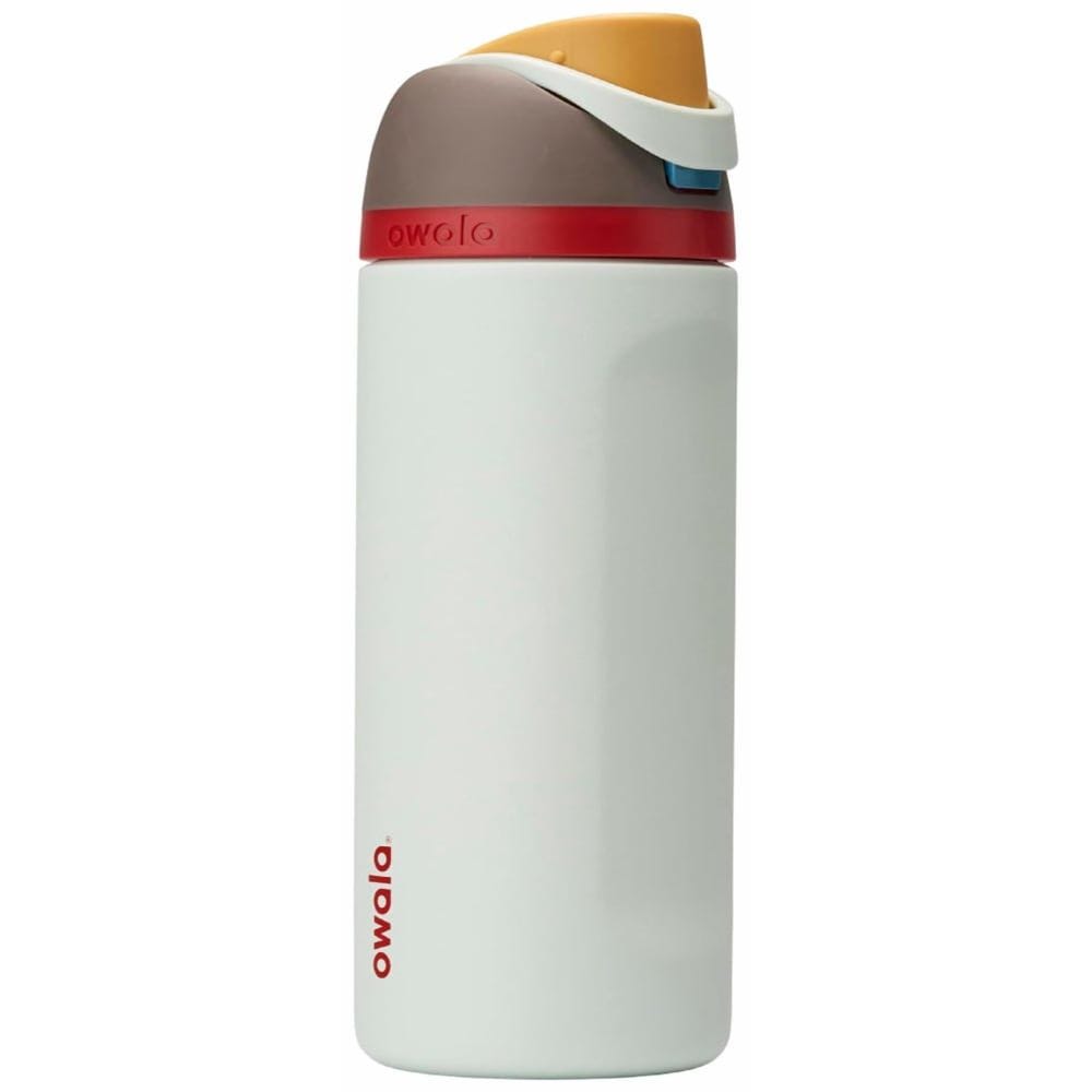 Owala Stainless Steel Water Bottle with Straw, 945 ml - Boneyard