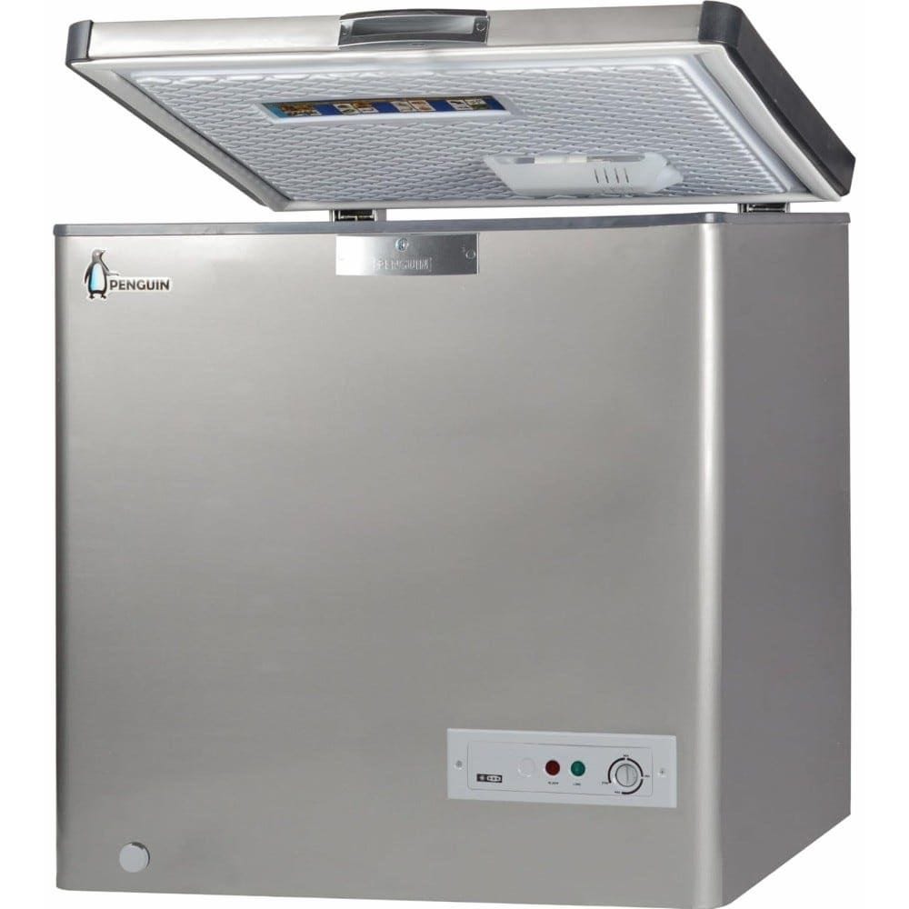 Penguin Interior Chest Deep Freezer ES290LS